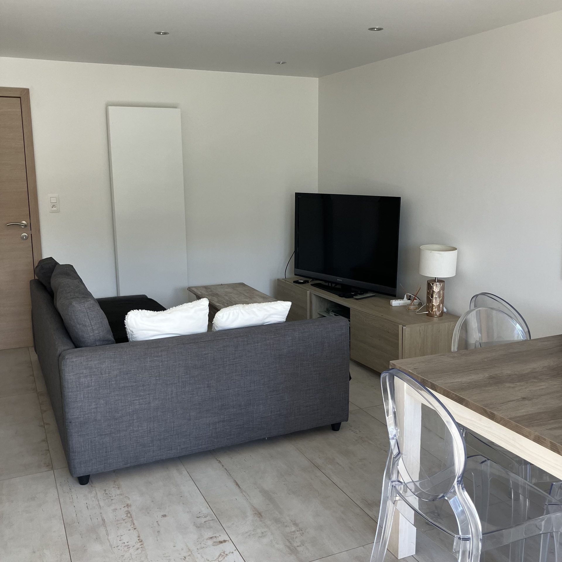 Salon avec canapé confortable et télévision