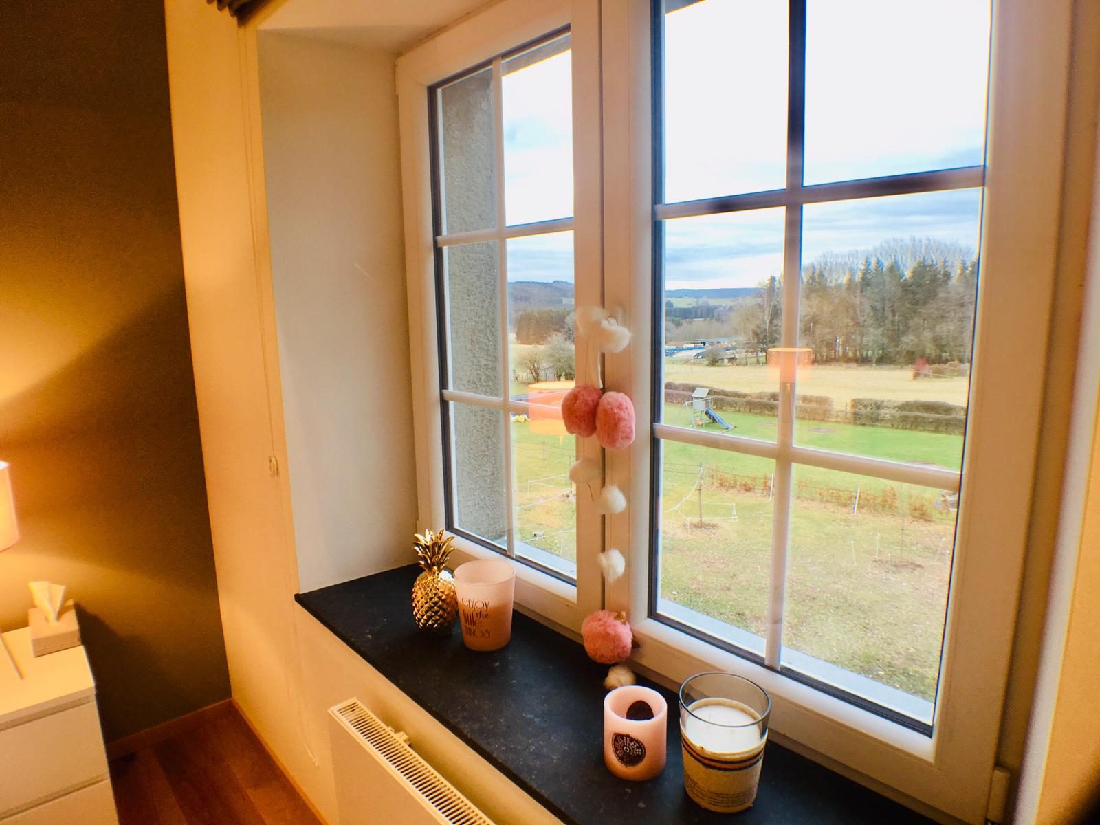 Vue sur la campagne depuis la chambre